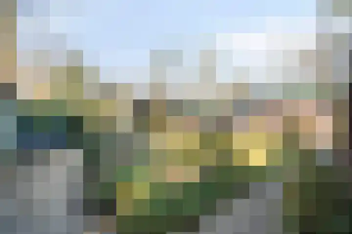 Bovenweg 3 't Harde thumbnail 43