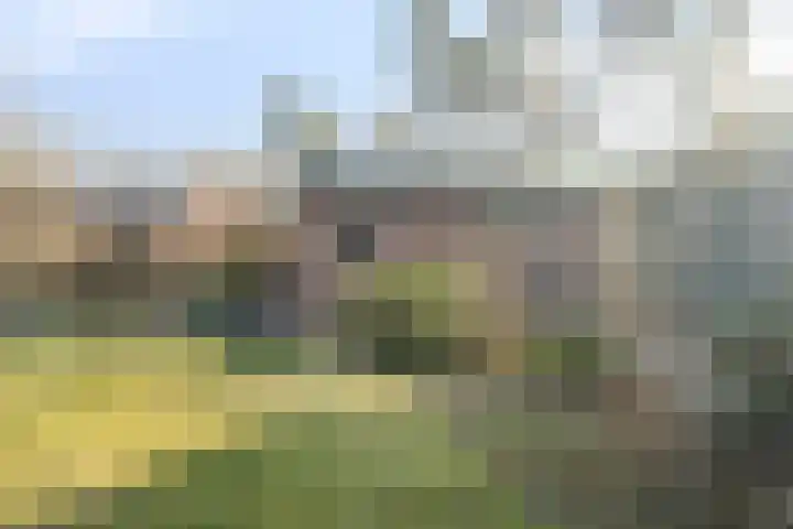 Bovenweg 3 't Harde thumbnail 48