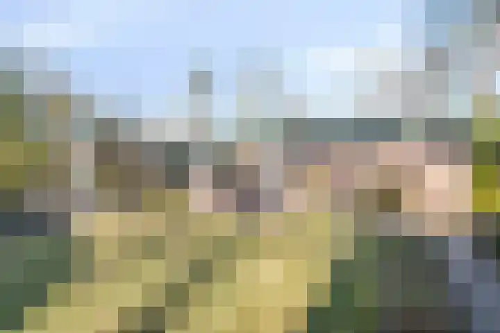 Bovenweg 3 't Harde thumbnail 49