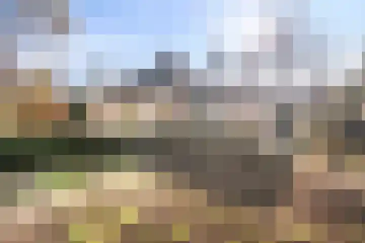 Bovenweg 3 't Harde thumbnail 52