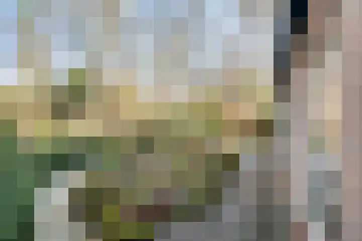 Bovenweg 3 't Harde thumbnail 54
