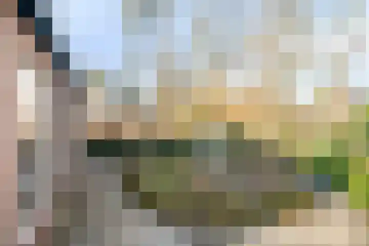 Bovenweg 3 't Harde thumbnail 55