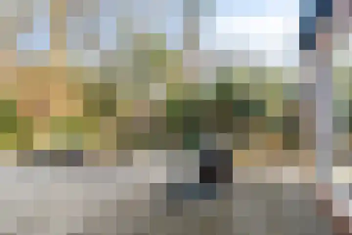 Bovenweg 3 't Harde thumbnail 57
