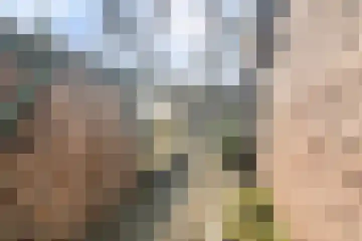 Bovenweg 3 't Harde thumbnail 59