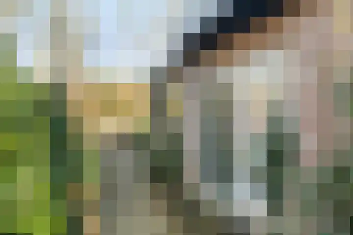 Bovenweg 3 't Harde thumbnail 6