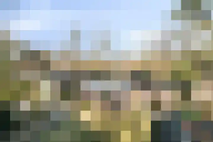 Bovenweg 3 't Harde thumbnail 61