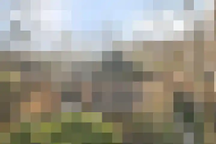 Bovenweg 3 't Harde thumbnail 62