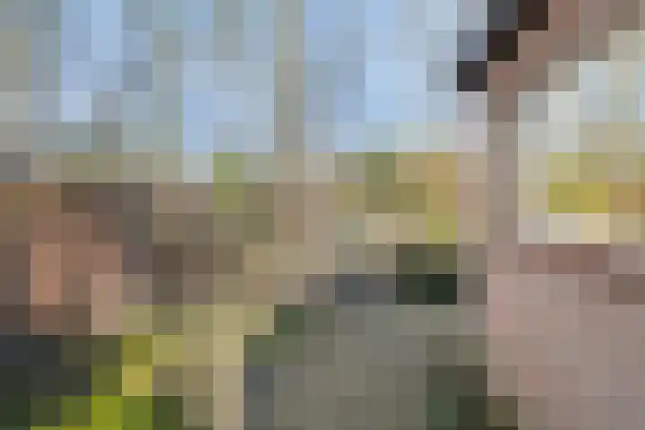 Bovenweg 3 't Harde thumbnail 63