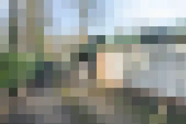 Bovenweg 3 't Harde thumbnail 65