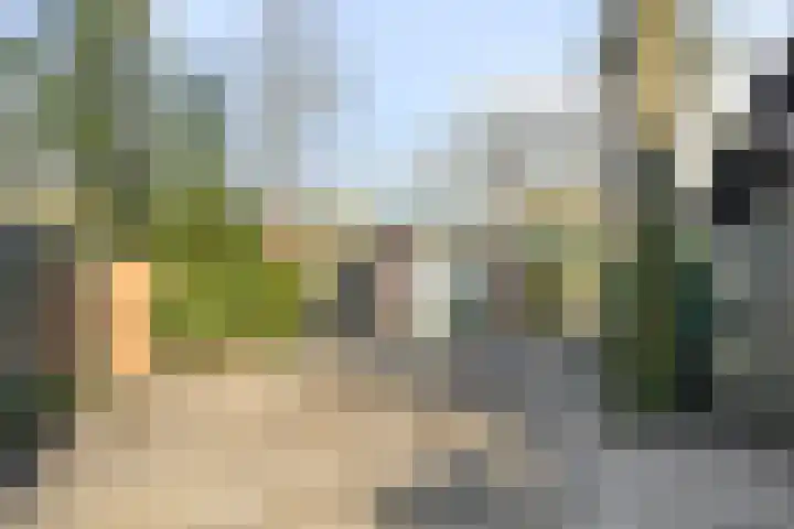 Bovenweg 3 't Harde thumbnail 66