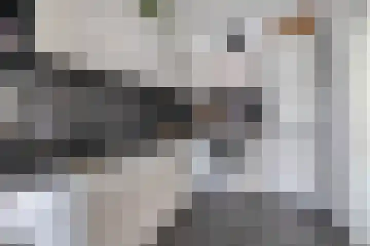 Bovenweg 36 Muntendam thumbnail 19