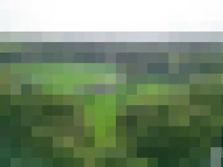 Bovenweg 36 Muntendam thumbnail 45