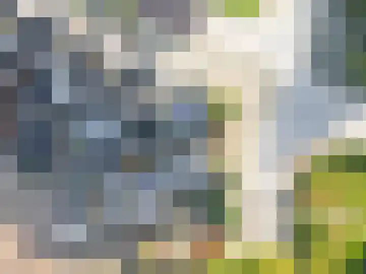 Bovenweg 36 Muntendam thumbnail 48