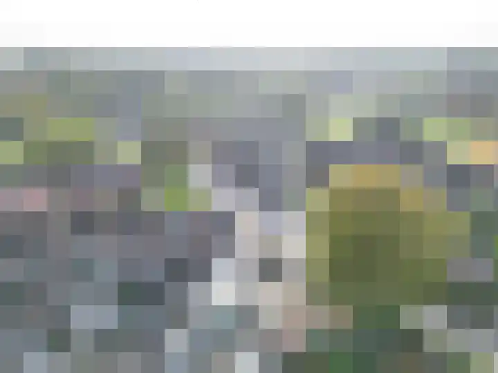 Bovenweg 36 Muntendam thumbnail 49