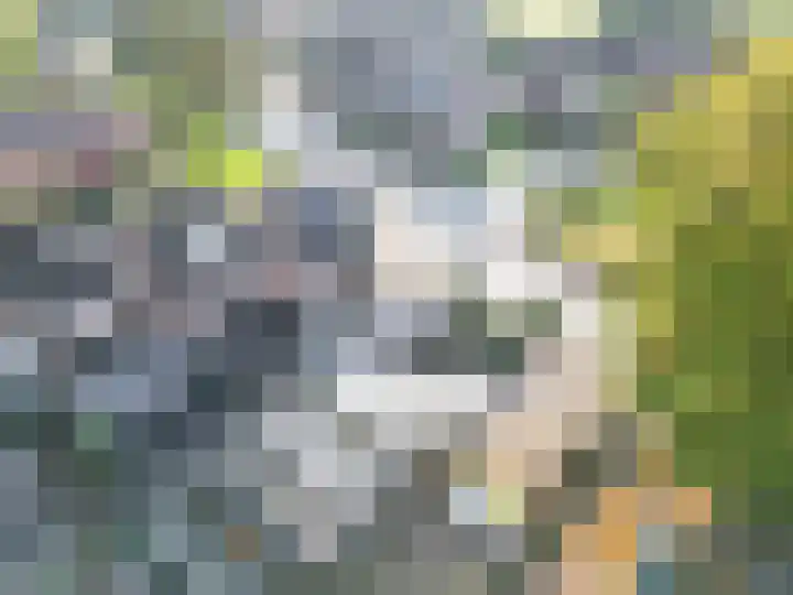 Bovenweg 36 Muntendam thumbnail 50