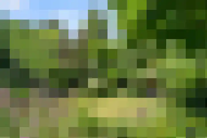 Bovenweg 54 Bennekom thumbnail 10