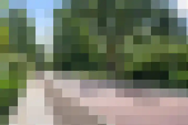 Bovenweg 54 Bennekom thumbnail 57