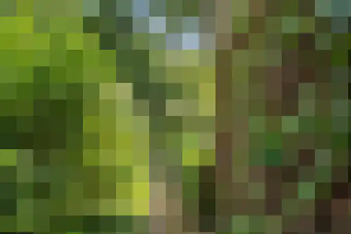 Bovenweg 54 Bennekom thumbnail 8
