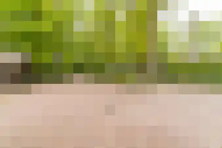 Bovenweg 7 't Harde thumbnail 10