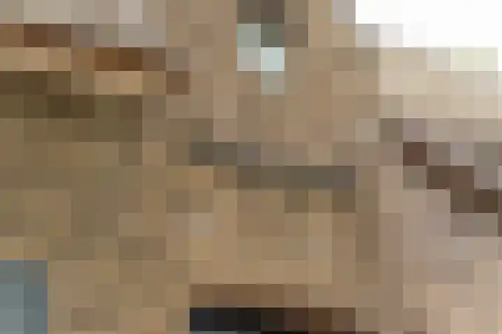 Bovenweg 7 't Harde thumbnail 12