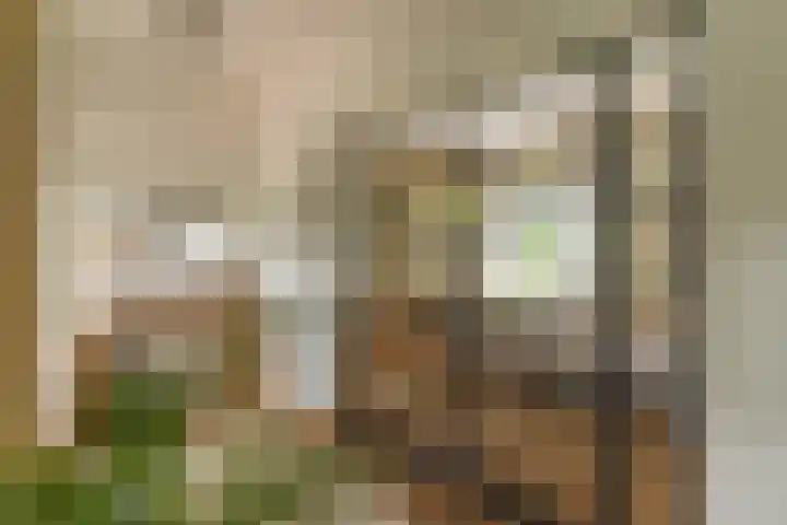 Bovenweg 7 't Harde thumbnail 15