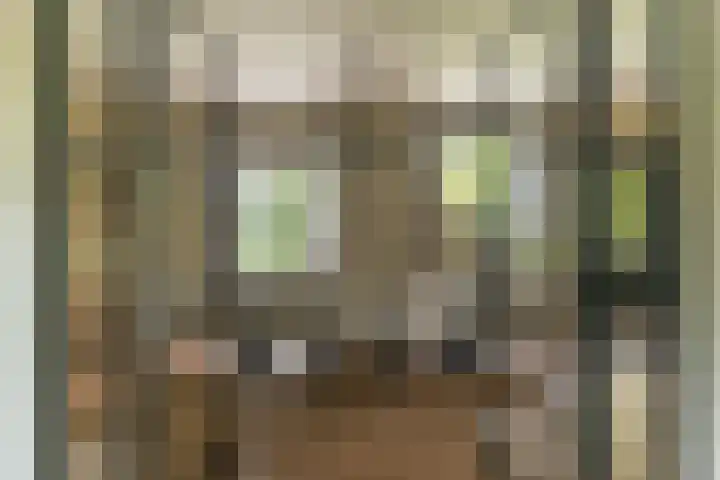 Bovenweg 7 't Harde thumbnail 19