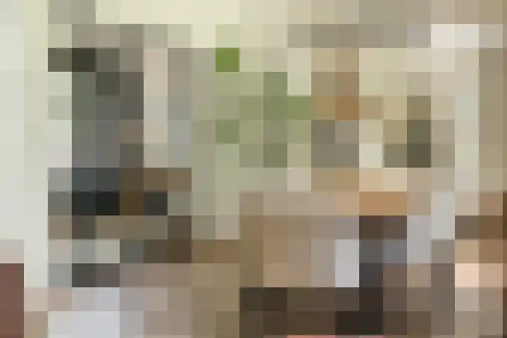Bovenweg 7 't Harde thumbnail 21