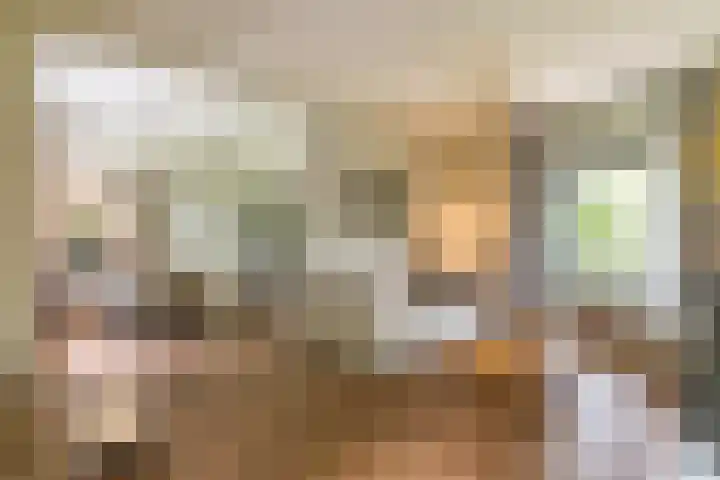 Bovenweg 7 't Harde thumbnail 24