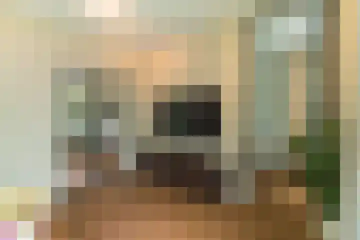 Bovenweg 7 't Harde thumbnail 28