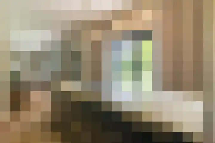 Bovenweg 7 't Harde thumbnail 36