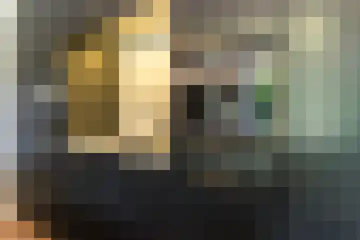 Bovenweg 7 't Harde thumbnail 37