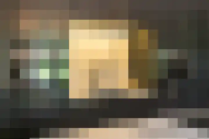 Bovenweg 7 't Harde thumbnail 38