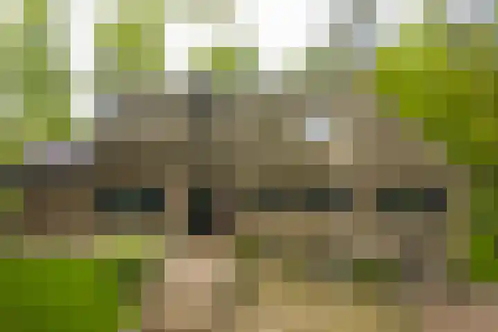 Bovenweg 7 't Harde thumbnail 4