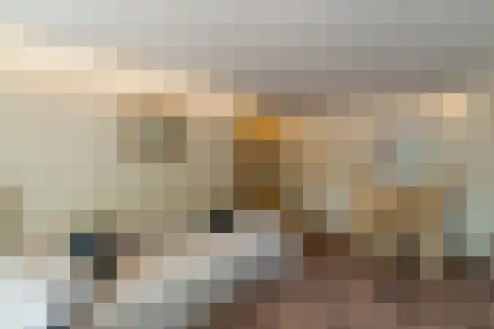 Bovenweg 7 't Harde thumbnail 44