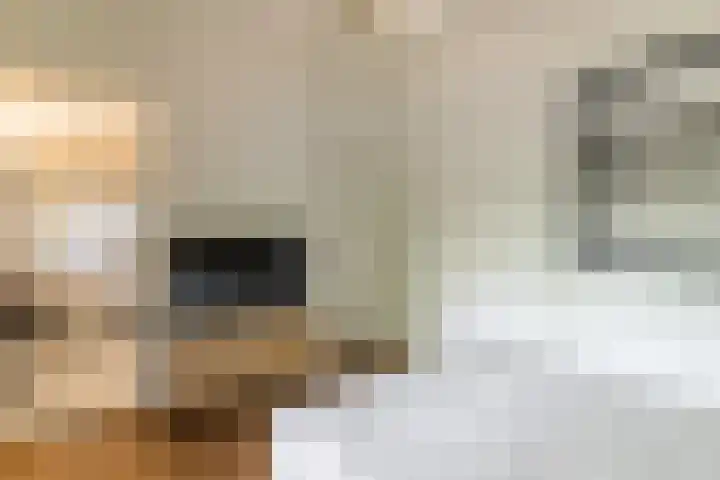Bovenweg 7 't Harde thumbnail 46