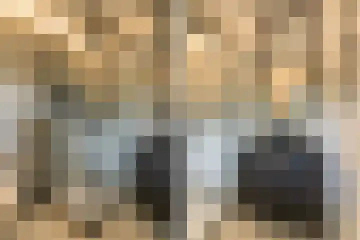Bovenweg 7 't Harde thumbnail 48