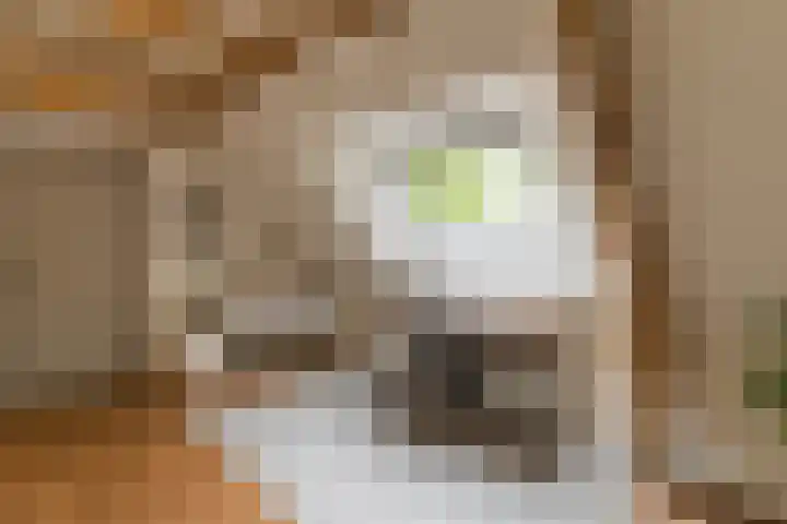 Bovenweg 7 't Harde thumbnail 50