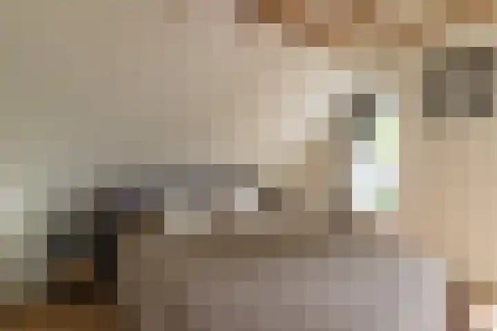 Bovenweg 7 't Harde thumbnail 51