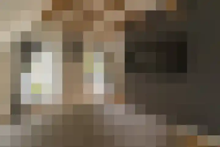 Bovenweg 7 't Harde thumbnail 52