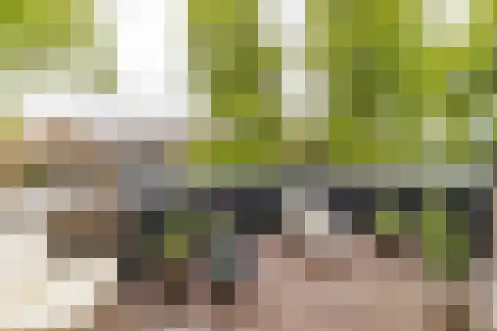 Bovenweg 7 't Harde thumbnail 54