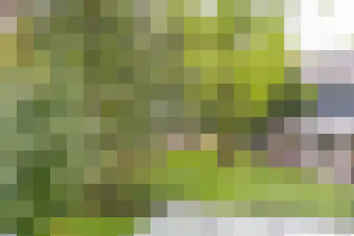 Bovenweg 7 't Harde thumbnail 55