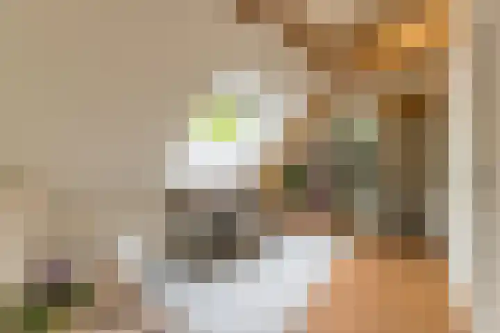 Bovenweg 7 't Harde thumbnail 57