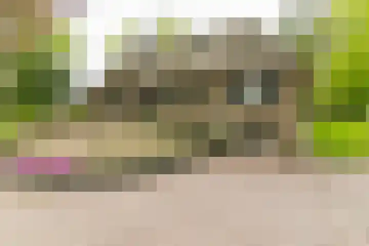 Bovenweg 7 't Harde thumbnail 6