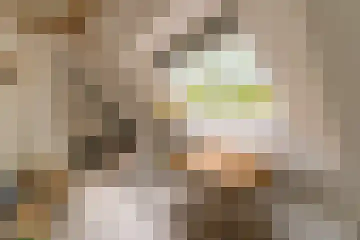 Bovenweg 7 't Harde thumbnail 61