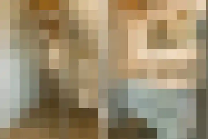 Bovenweg 7 't Harde thumbnail 64
