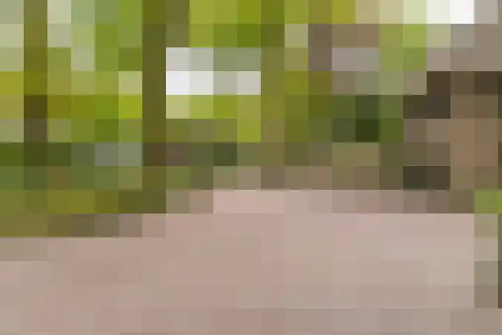 Bovenweg 7 't Harde thumbnail 65