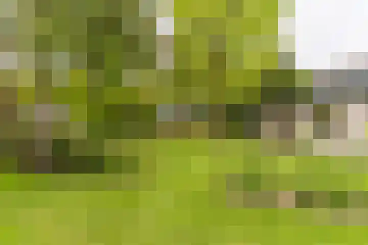 Bovenweg 7 't Harde thumbnail 67
