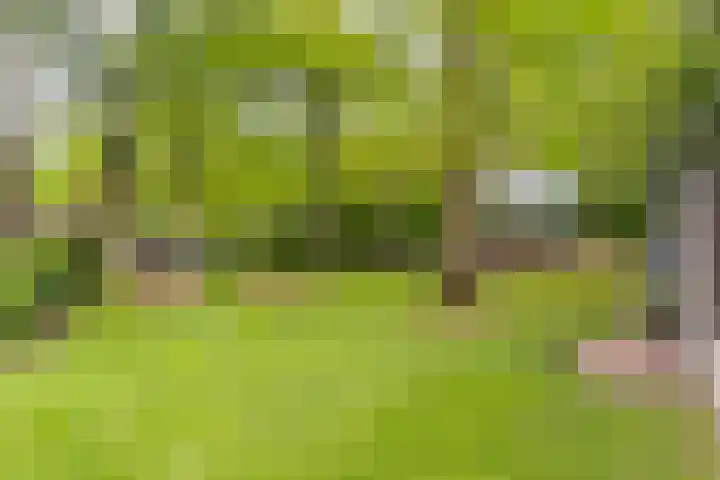 Bovenweg 7 't Harde thumbnail 68