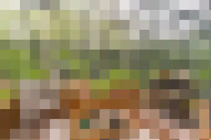 Bovenweg 7 't Harde thumbnail 71