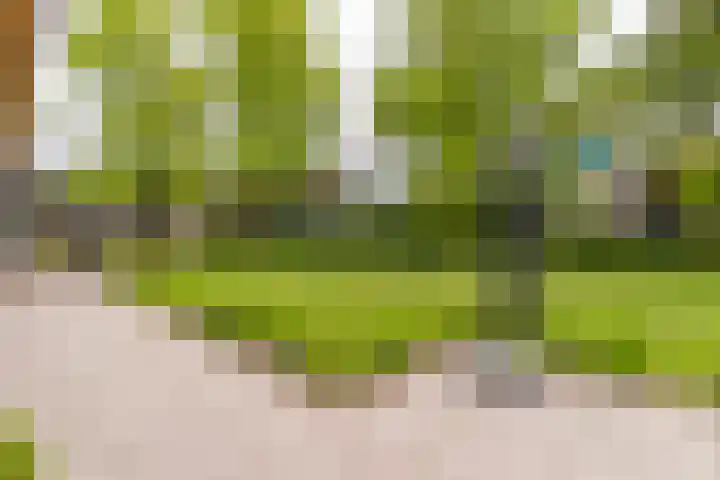 Bovenweg 7 't Harde thumbnail 80